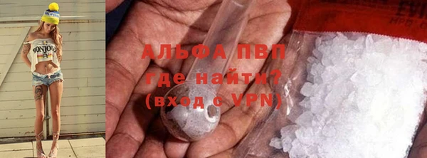 шишки Белоозёрский