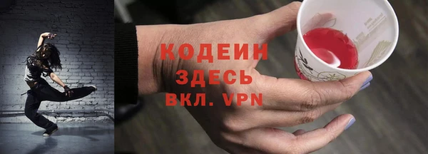 шишки Белоозёрский