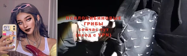 шишки Белоозёрский