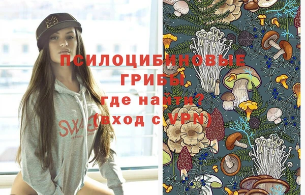 гашик Богородицк