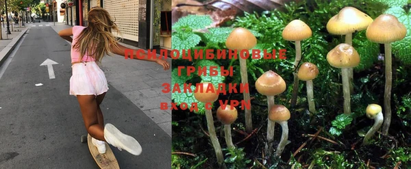 ALPHA-PVP Богородск