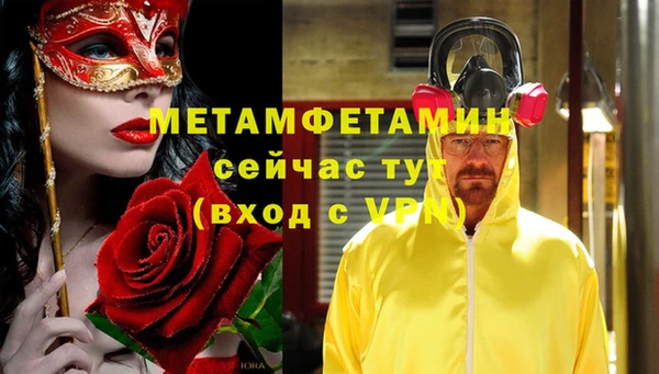 шишки Белоозёрский