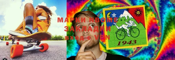 шишки Белоозёрский