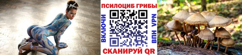 Галлюциногенные грибы прущие грибы  закладка  Тюмень 